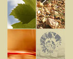 Domaine Ferme Saint Martin